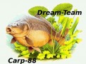 Photo actuelle associée au profil du carpiste Dream-Team-Carp-88