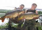 les bellezecailles et leurs poissons les bellezecailles et leurs poissons