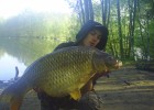 CARPE EN GRAVIERE CARPE EN GRAVIERE