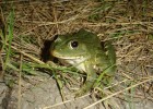 une rencontre pendant la nuit