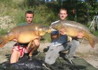 carp's meal team carp's meal team