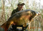 FISH 2008 HERVIAUX EMMANUEL FISH 2008 HERVIAUX EMMANUEL