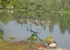 4 detecteurs et 2 canards pour assurer les departs