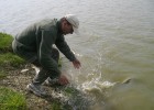 Un poisson farceur qui vous gicle avnat de se sauver