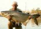  30.000 catfish mékonng de 30 kg et équivalent a un silur de 60 kg en puissance