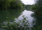 Quelques poissons de la Cèze... Quelques poissons de la Cèze...