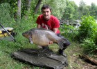 belle carpe de 15,5kg