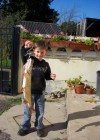 gaëtan 7 ans avec son 2eme brochet fait à st congard . sa taille 60 cm .