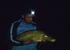 mes poissons mes poissons