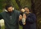 voici un colvert pris en pêchent la carpe avec une bouillette flottante en surfc