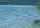 lac de barrage; attention montée des eaux