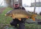 Carpe record de cette étang , tout avec une pêche de bordure ! 