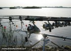 Peche a la carpe dans un etang communal Peche a la carpe dans un etang communal