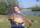 des carpes splendides des carpes splendides