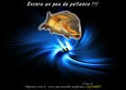carpes carpes