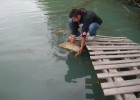 peche