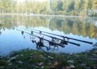 Quelques jolis poissons....