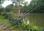 Carpes dans le Maine-et-loire Carpes dans le Maine-et-loire