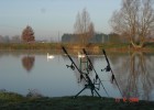 nature, poissons et tranquillité nature, poissons et tranquillité