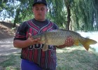 Carpe 2009 Carpe 2009
