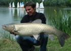 amour blanc 12kg800