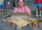 carpe commune 18kg