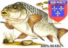 carpiste berrichon carpiste berrichon