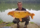 koi de 11kg koi de 11kg