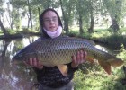 carpe commune de 8kg500