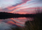 Paysage Paysage