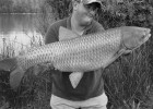 amour blanc de 8kg pris a la bouillette fraise starbaits