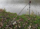 mes premieres carpes de 10 à 17 kg mes premieres carpes de 10 à 17 kg