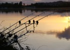  Pêche de la carpe sous un beau couché de soleil