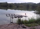 NATURE - LE CYGNE GARDIEN