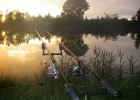 coucher de soleil au poisson rouge