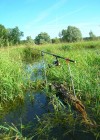 pêche sur une souche entre les roseaux car trop de fond pour metre les piquets