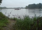 mes poissons de loire mes poissons de loire