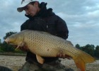 commune de 14kg3 de loire, un matin de printemp!! puissant combat!!