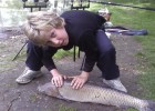mes carpes mes carpes