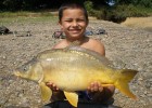 La première carpe de mon fils Eros. Il etait fier. Sa change des gardons.