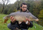 Carpes 2011 suite Carpes 2011 suite