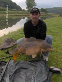 sylvainus