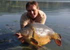 belle carpe d'automne sur le rhone