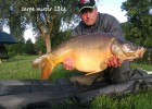 carpe de vieille somme