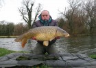 carpe commune 8 kg piéger avc un bonhomme de neige pineapple