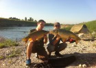 la carpjacking team la carpjacking team