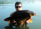 belle comune oranger de 9.3kg juin 2011 en etangs 