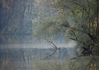 très bon poste,mais a pêcher avec précaution (branche morte immergé,...)