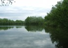L'étang sauvage L'étang sauvage