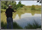 Pêche à la gardonette A la carpe avec une canne de 4 mètres, au bout: 12 kg